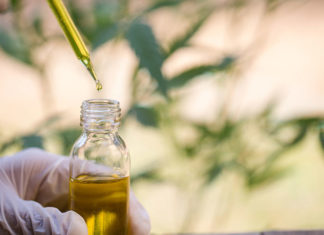 Olej CBD: 7 powodów, dla których warto go stosować