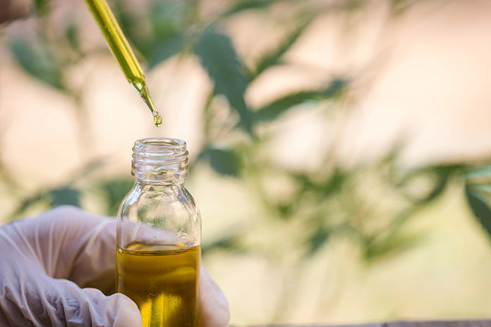 Olej CBD: 7 powodów, dla których warto go stosować Olej CBD: 7 powodów, dla których warto go stosować