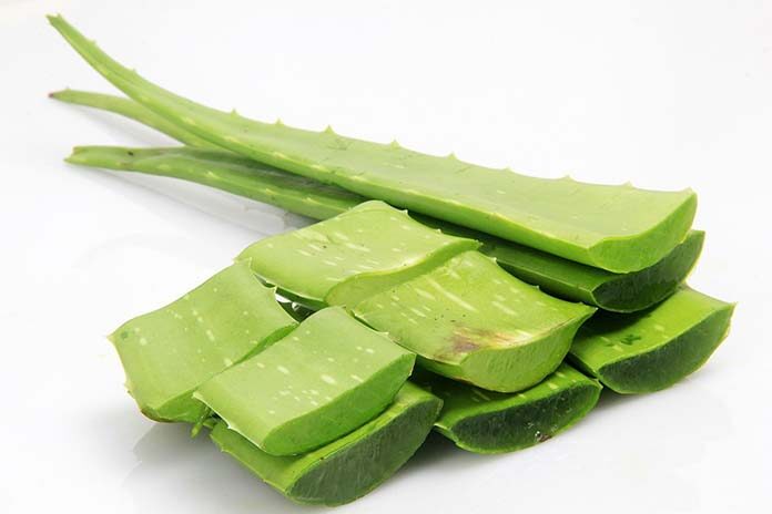 aloes aloes
