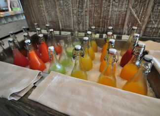 oczyszczanie organizmu sokami