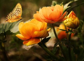 Czy można pić wodę po myciu zębów?