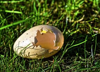 Jak naprawić powłokę antyrefleksyjną?