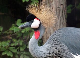 Kiedy mężczyzna ma największą ochotę?