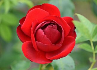 Jak rozbudzić namiętność u męża?