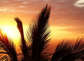 Jak wygląda stan zapalny języka?