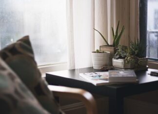 Czy każdy aloes ma właściwości lecznicze?