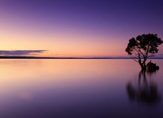 Ile wody na 1 litr spirytusu?