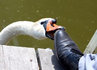 Dlaczego szczypie po stosunku?