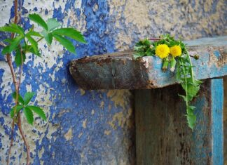 Jak wyczyścić porysowane szkło?