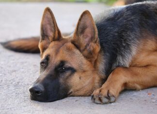 Dlaczego nic mnie nie podnieca?