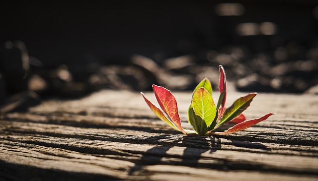 Jak się używa podkładów poporodowych? Jak się używa podkładów poporodowych?