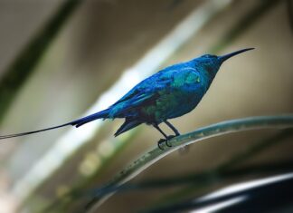 Czy można odmówić przyjęcia faktury elektronicznej? Czy można odmówić przyjęcia faktury elektronicznej?