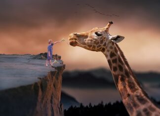 Kiedy przewijać dziecko przed czy po karmieniu? Kiedy przewijać dziecko przed czy po karmieniu?