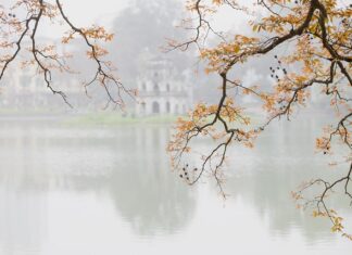 Czy gua sha działa?