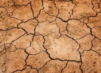 Co zrobić na suchość w jamie ustnej?